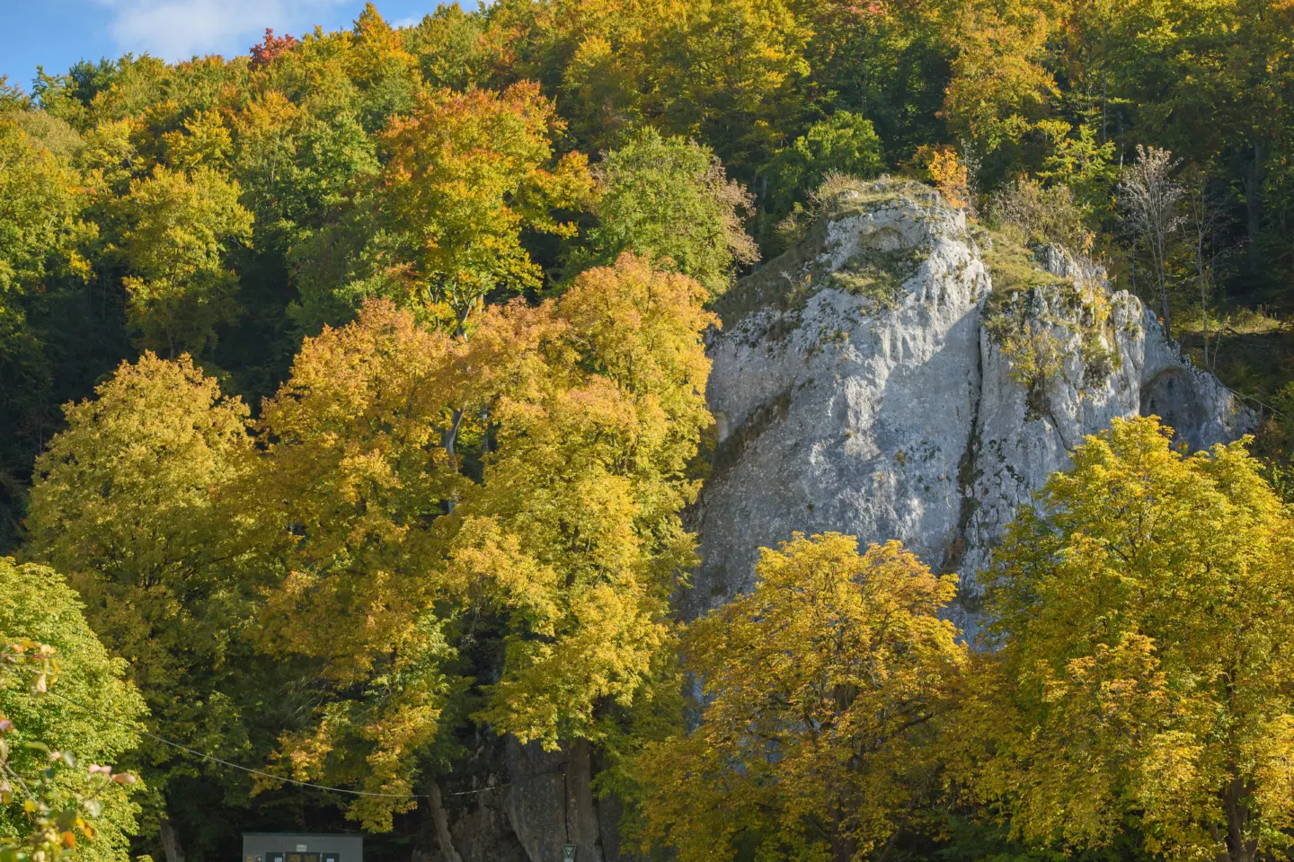 A tall limestone rock outcrop rising above autumn trees in a valley