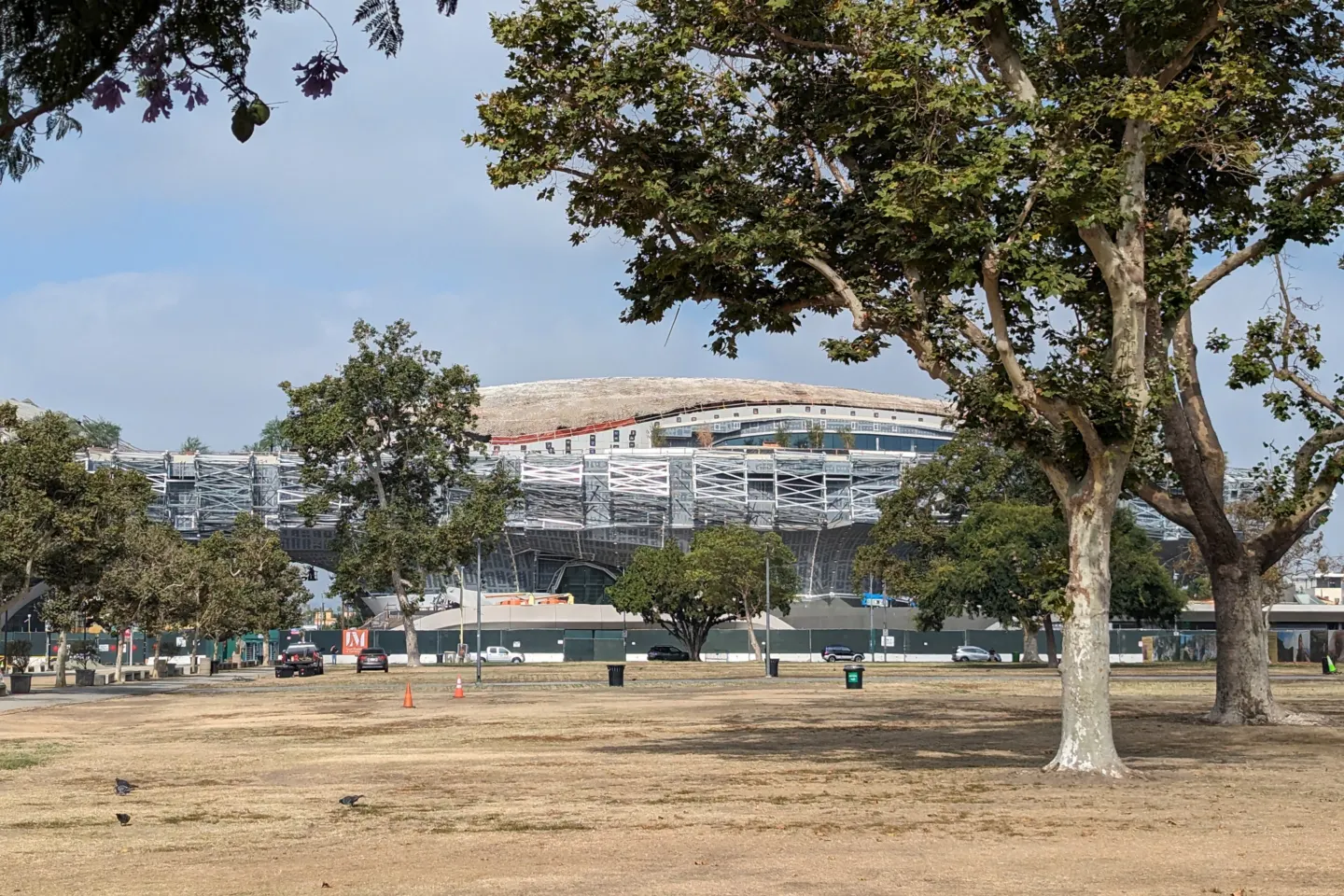 Curved, unfinished museum building with scaffolding seen across a dry lawn between large trees